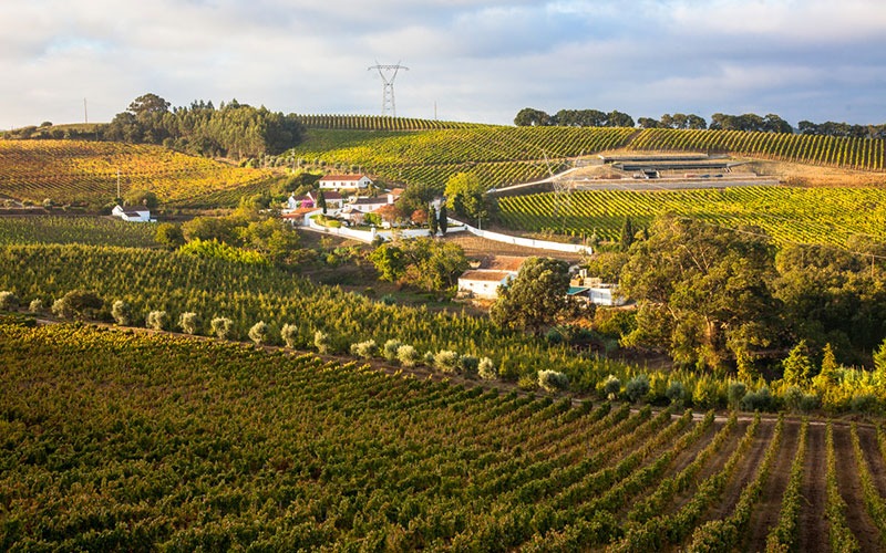 Quinta de Chocapalha